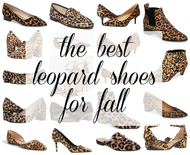 the best leopard print shoes for fall featured by popular DC petite fashion blogger, Wardrobe Oxygen