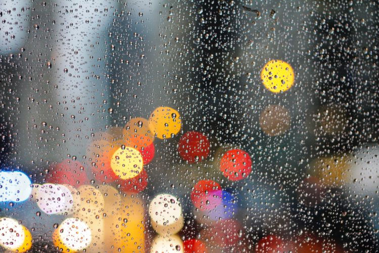 Weekend Reads #52 1 jessica knowlden 589379 unsplash