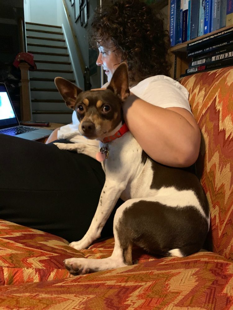 woman sitting on a couch typing on a laptop with her arm around a dog