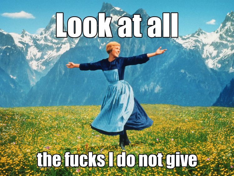 Meme of Maria from the movie The Sound of Music standing on a mountaintop spinning. Text overlay says "Look at all the fucks I do not give'.