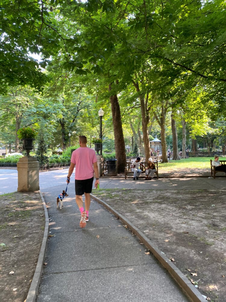 rittenhouse square