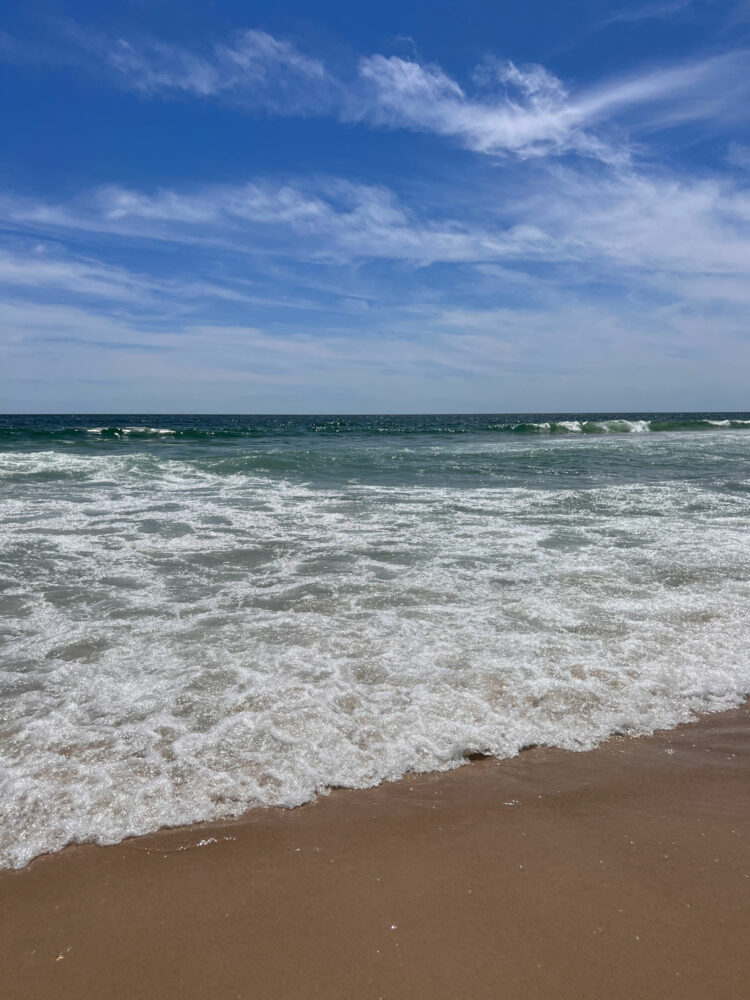 salps clear globules beach atlantic ocean fire island