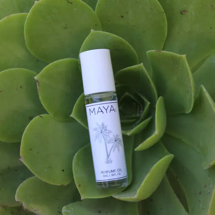 A succulent plant holding a bottle of Maya No. 1 perfume oil