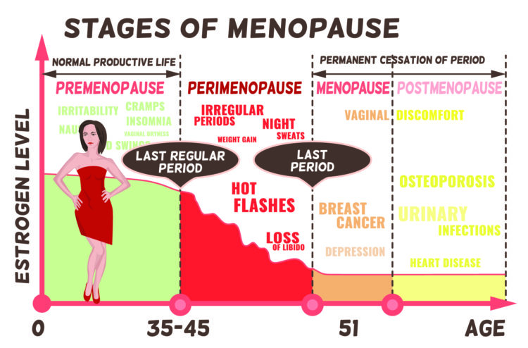 Stages of Menopause