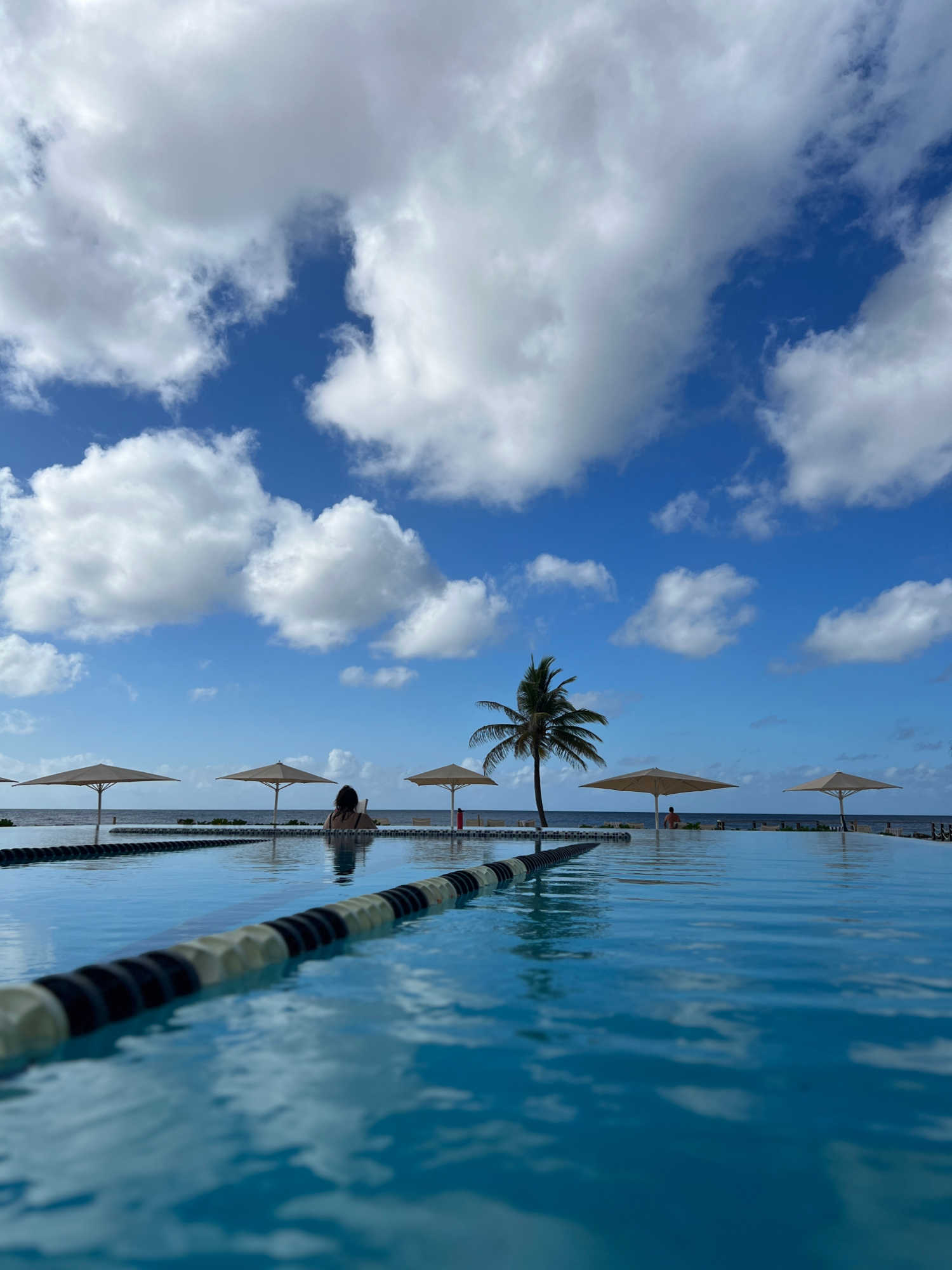 a woman at the edge of an infinity pool, reading a book. Beyond the pool are umbrellas and a palm tree and the ocean